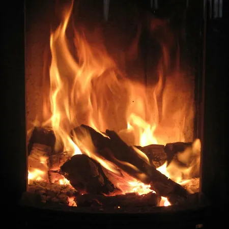 Beerenvilla Gasthof Altenberg (Erzgebirge)