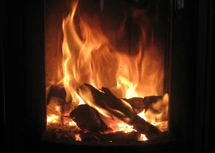 Beerenvilla Guest house Altenberg